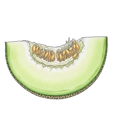 Imagen PNG para descargar